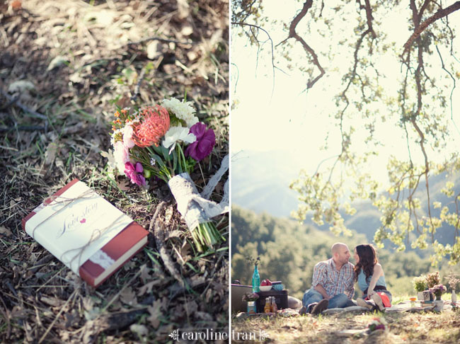cute-picnic-engagement-photo-06