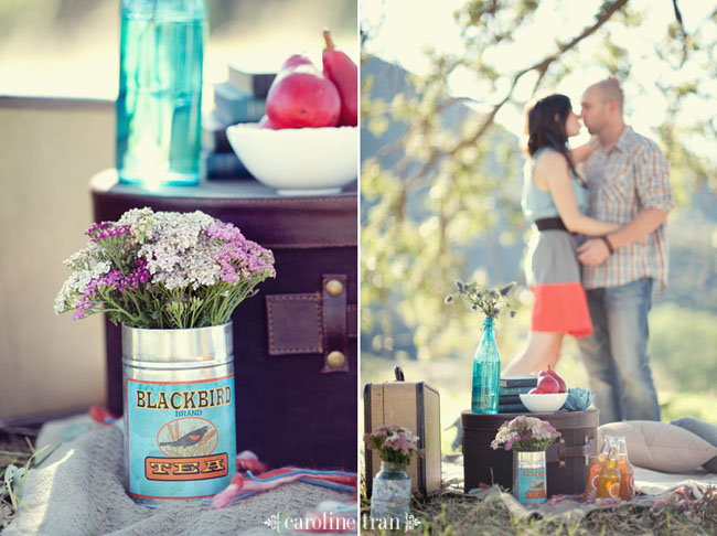 cute-picnic-engagement-photo-12