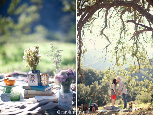 cute-picnic-engagement-photo-18