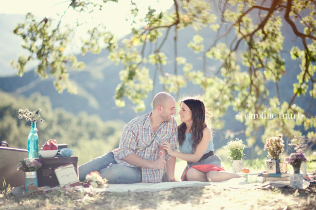 View Picnic Maternity Shoot Background