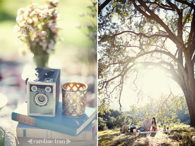 cute-picnic-engagement-photo-31