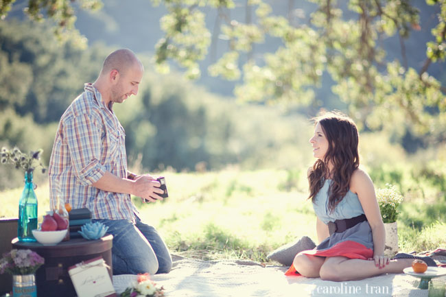 cute-picnic-engagement-photo-34