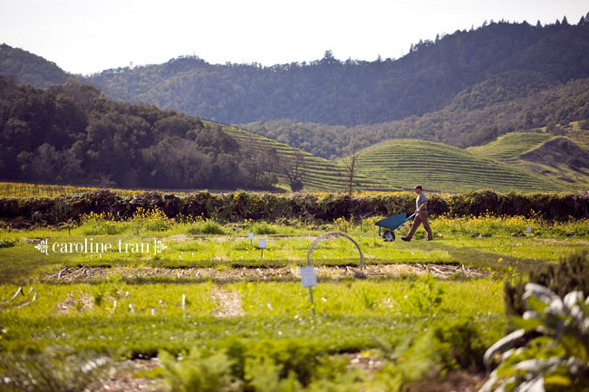 the-french-laundry-33