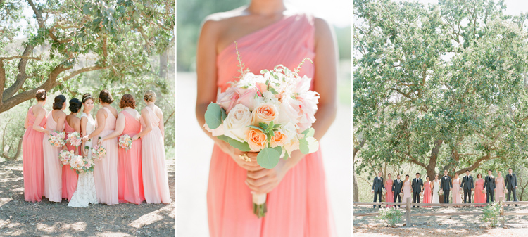 Triunfo Creek Vineyard Wedding by Caroline Tran