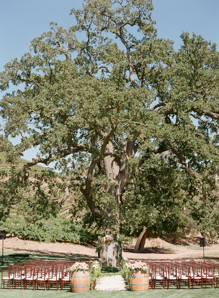 Triunfo Creek Vineyard Wedding by Caroline Tran