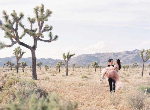 joshua tree elopement photos