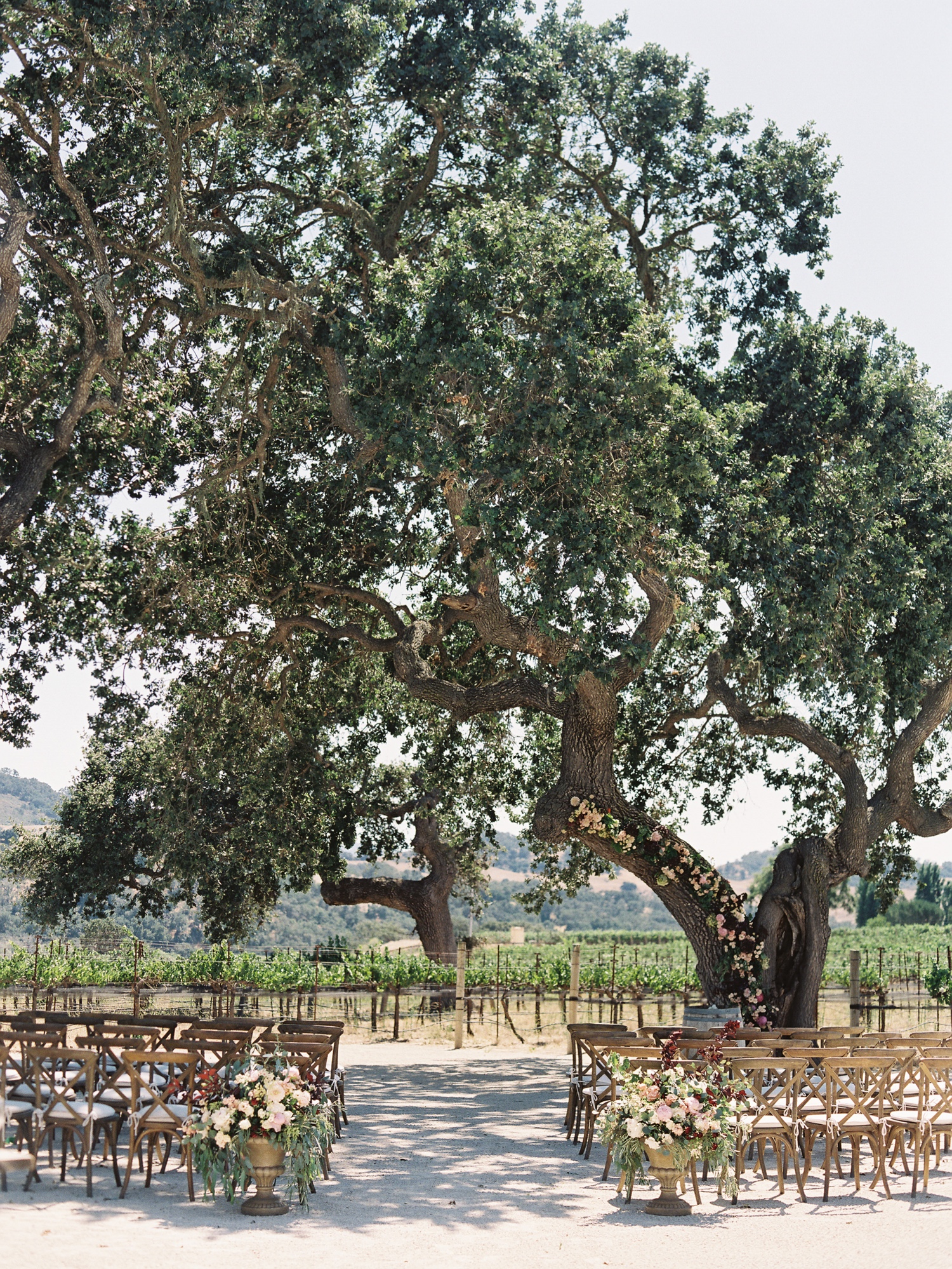 Sunstone Winery wedding ceremony under large oak tree in vineyard