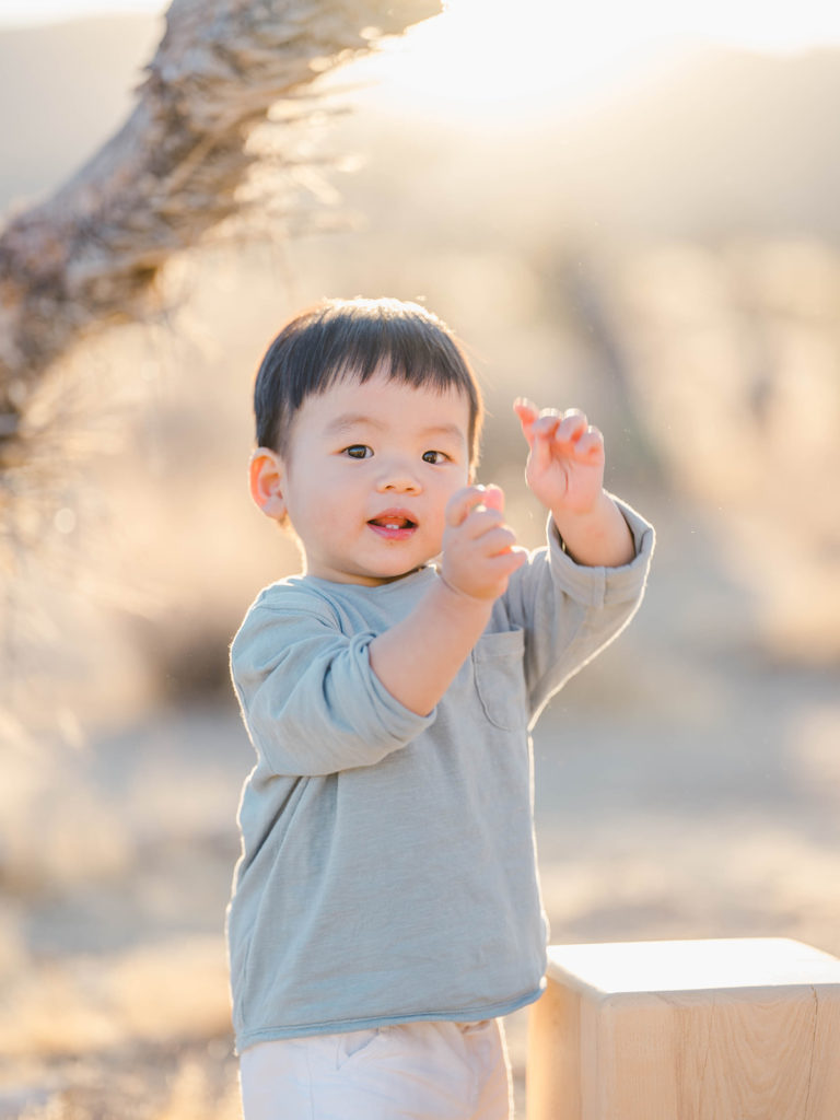 Joshua Tree Family Photo Session Caroline Tran Photography