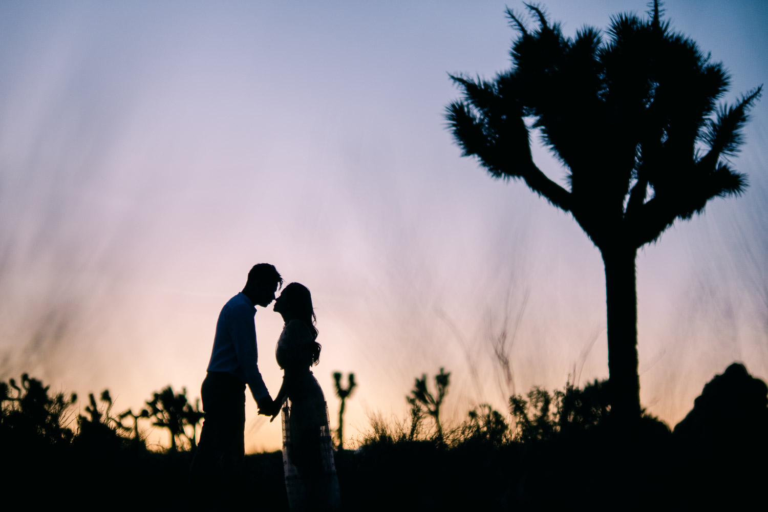 Joshua Tree Engagement Photos