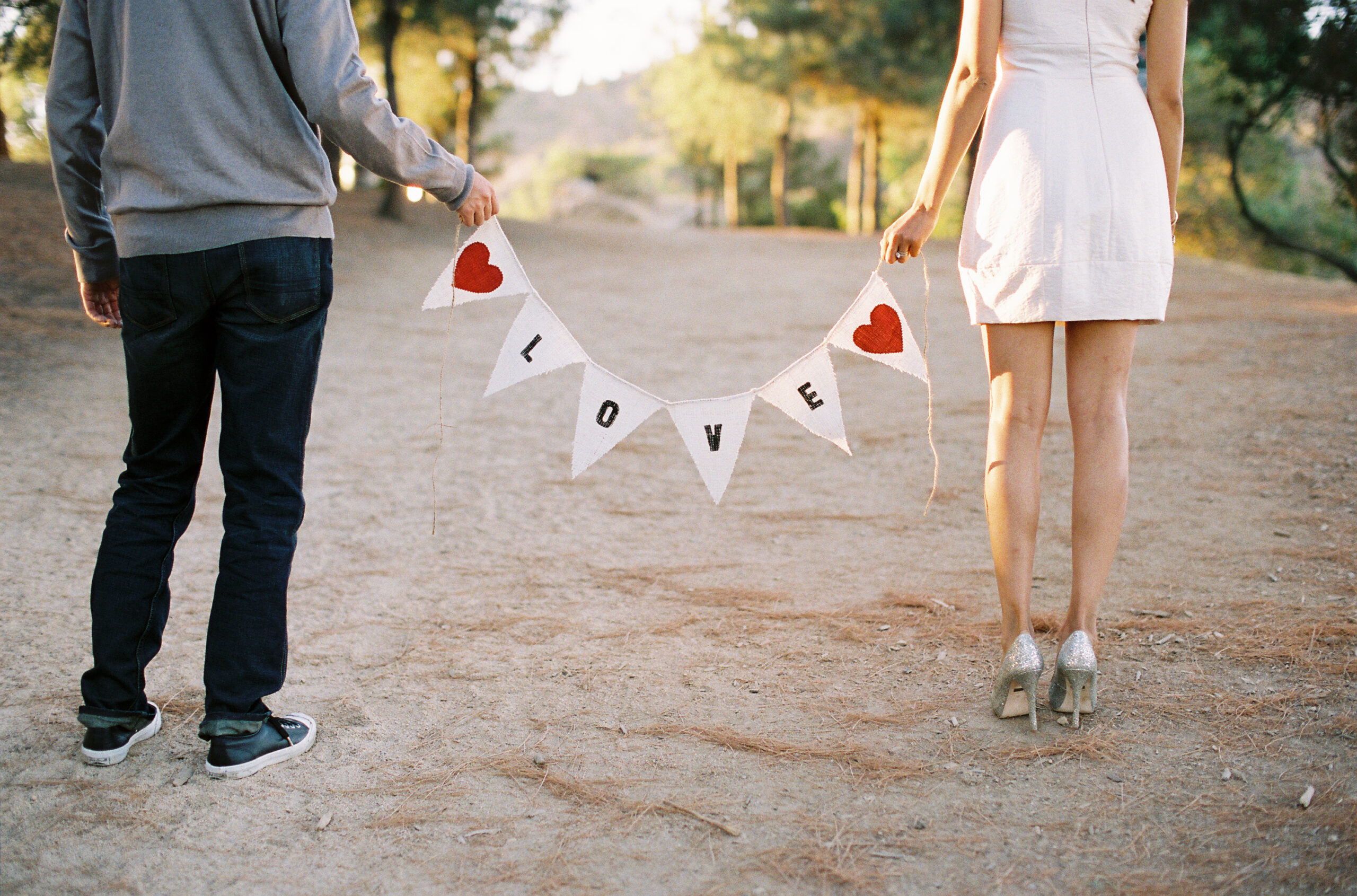How To Propose In Los Angeles
