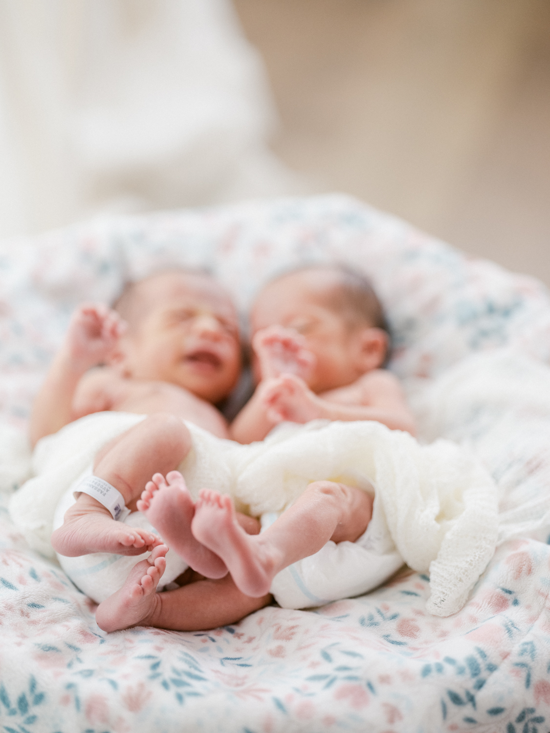 los angeles newborn photography