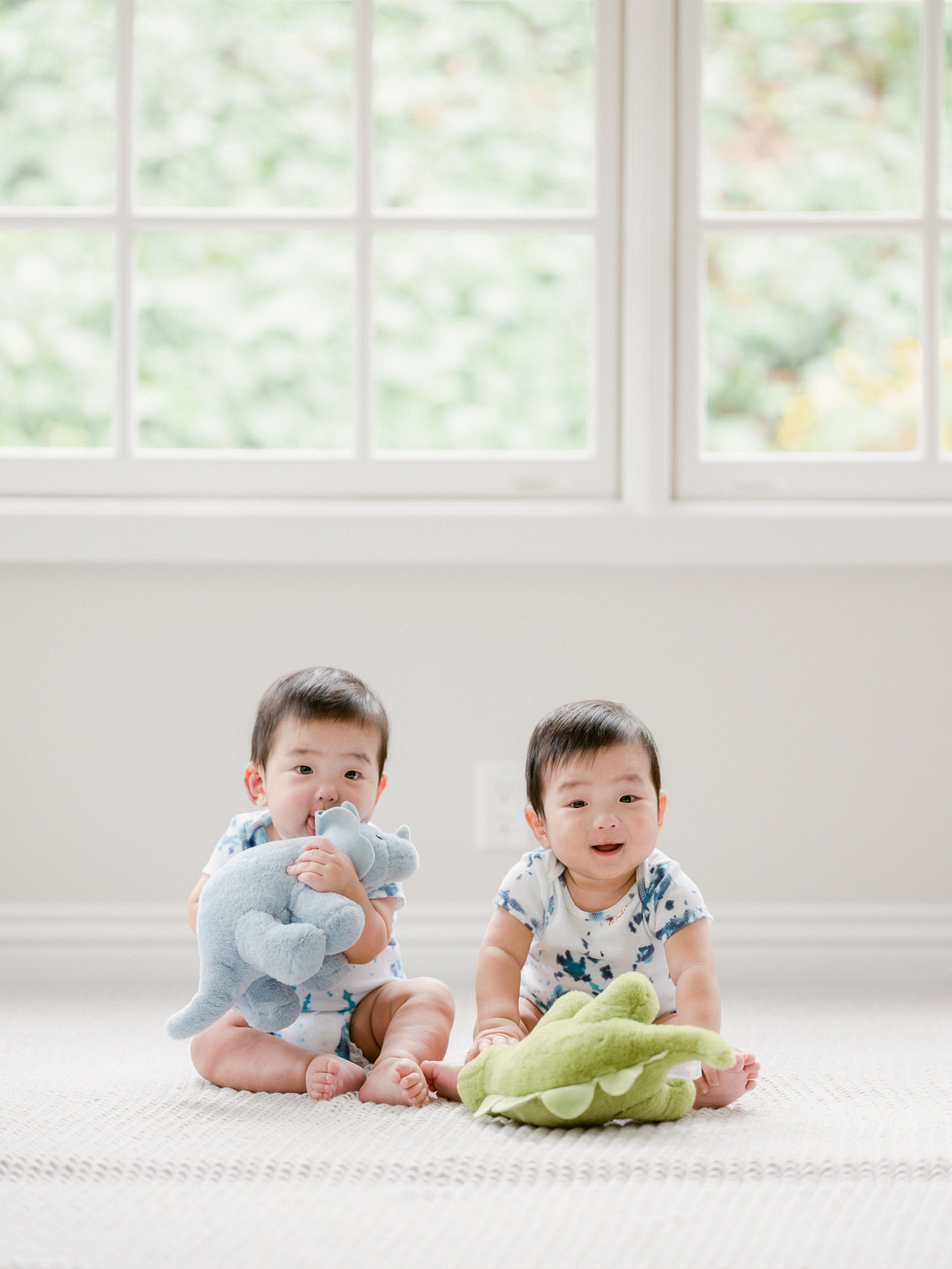 6 Month Twin Photo Ideas