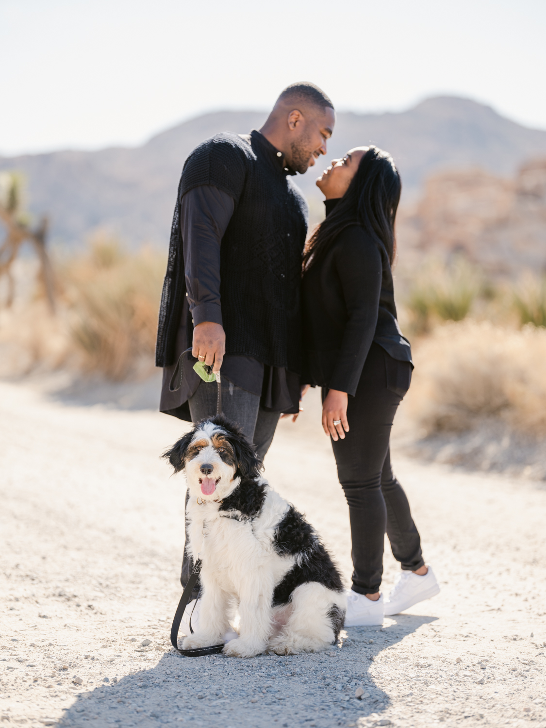 Couple Photoshoot in Joshua Tree National Park