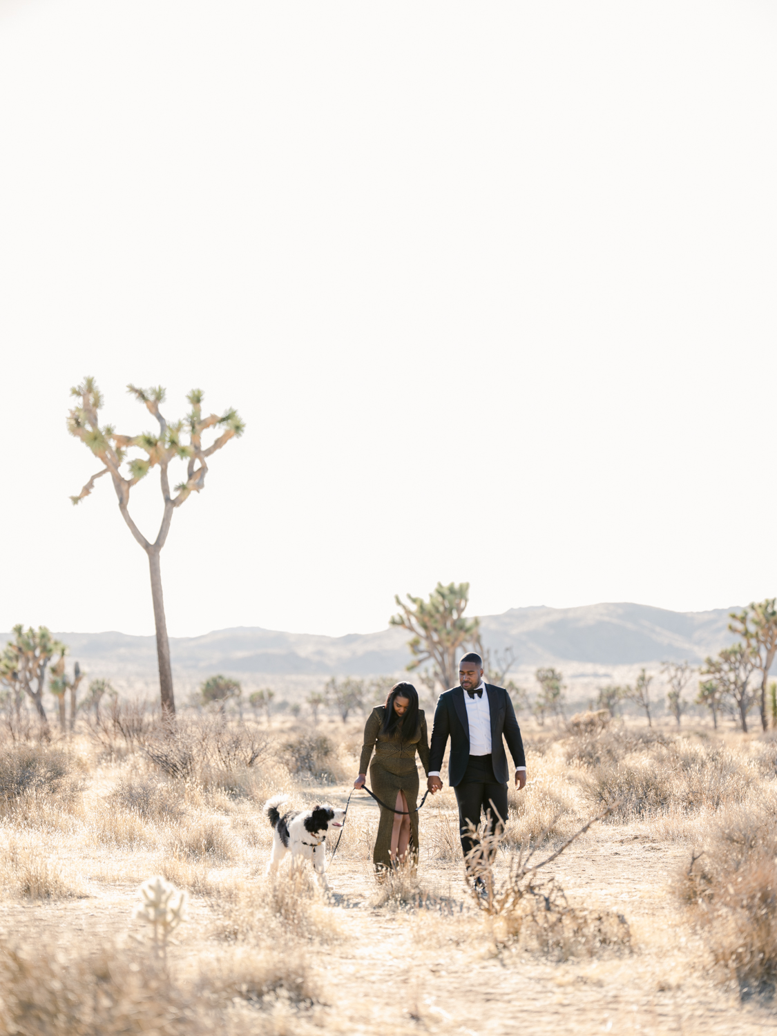 Couple Photoshoot in Joshua Tree National Park