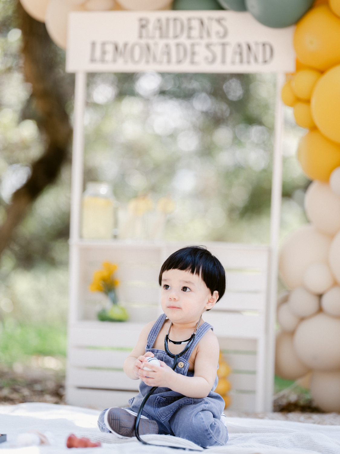 Los Angeles Baby First Birthday Photo and Video