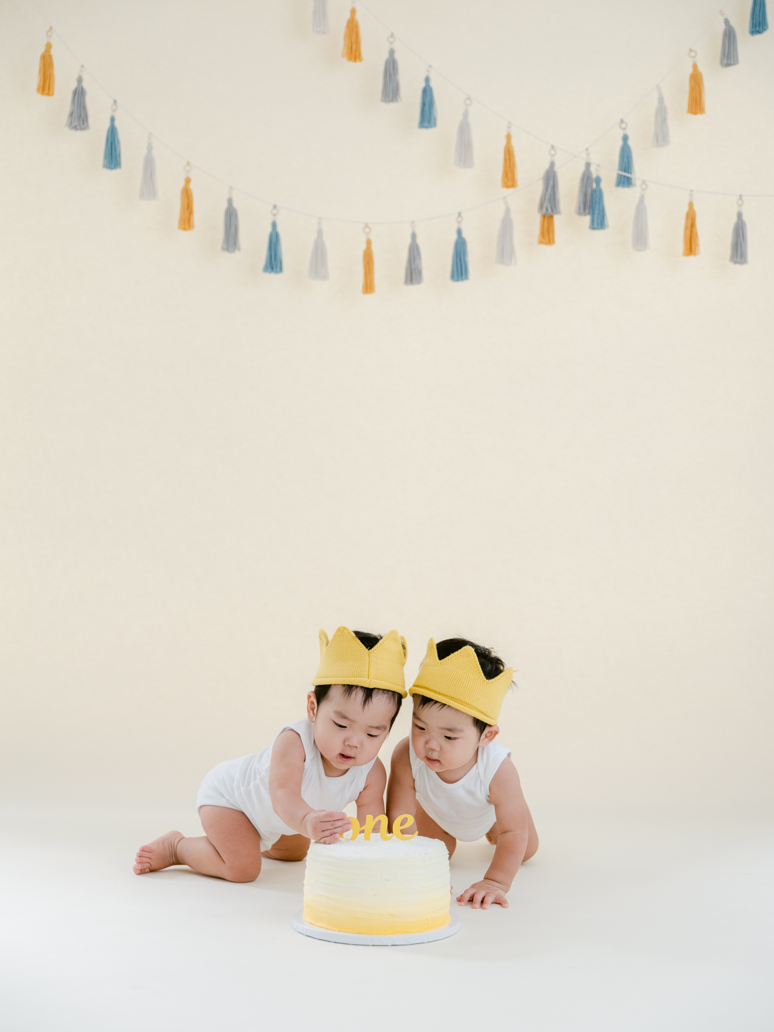 Baby’s First Year Milestone Photography Session
