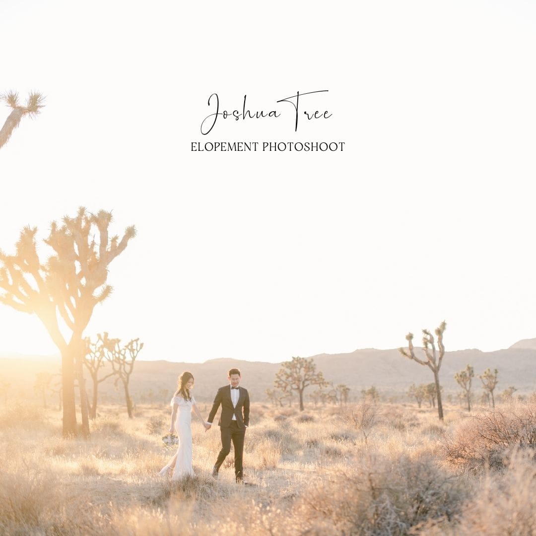 Joshua Tree Elopement Photoshoot - Caroline Tran Photography